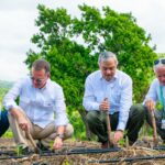 JCE continúa este sábado la ruta de conformación de las OCLEE en varias ciudades de Estados Unidos